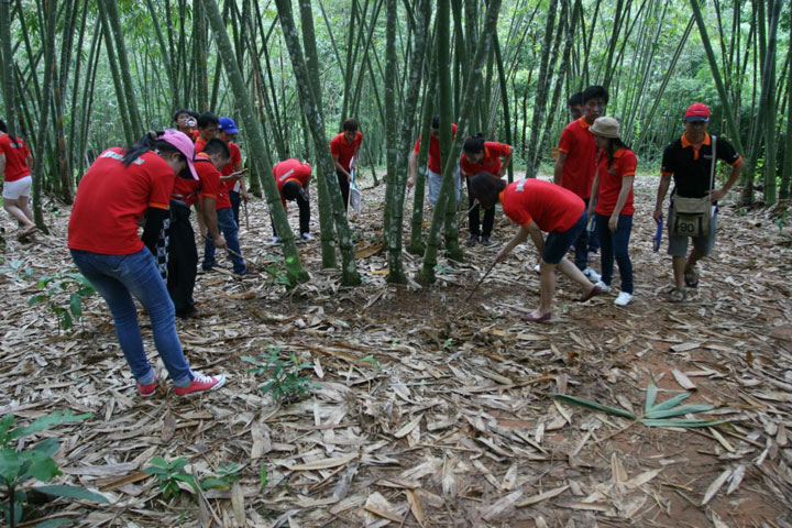 Team Building 2012 — Hình 2