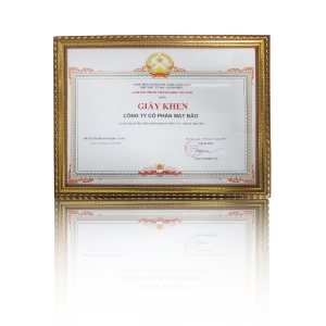 Bằng khen "Nhà đăng ký thực hiện truyền thông tên miền "vn" xuất sắc" do Trung tâm Internet Việt Nam trao tặng.