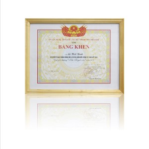 Giải thưởng “Khi Tổ Quốc Cần 2012” do Ủy Ban Trung Ương Hội Liên Hiệp Thanh Niên Việt Nam trao tặng.