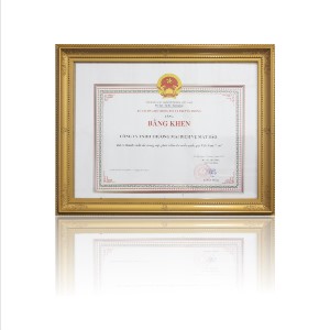 Bằng khen “Thành tích xuất sắc trong việc phát triển tên miền quốc gia Việt Nam .Vn” do Bộ Trưởng Bộ Thông Tin và Truyền Thông trao tặng.