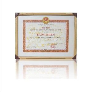 Bằng khen “Đã có thành tích xuất sắc trong lĩnh vực Công nghệ thông tin – Truyển thông năm 2007.