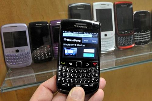 Blackberry-(1).jpg Blackberry-(1).jpg